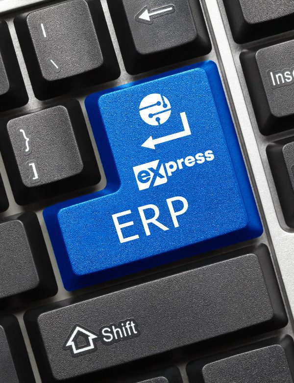MRP II 3 Erp Web Prodel Express