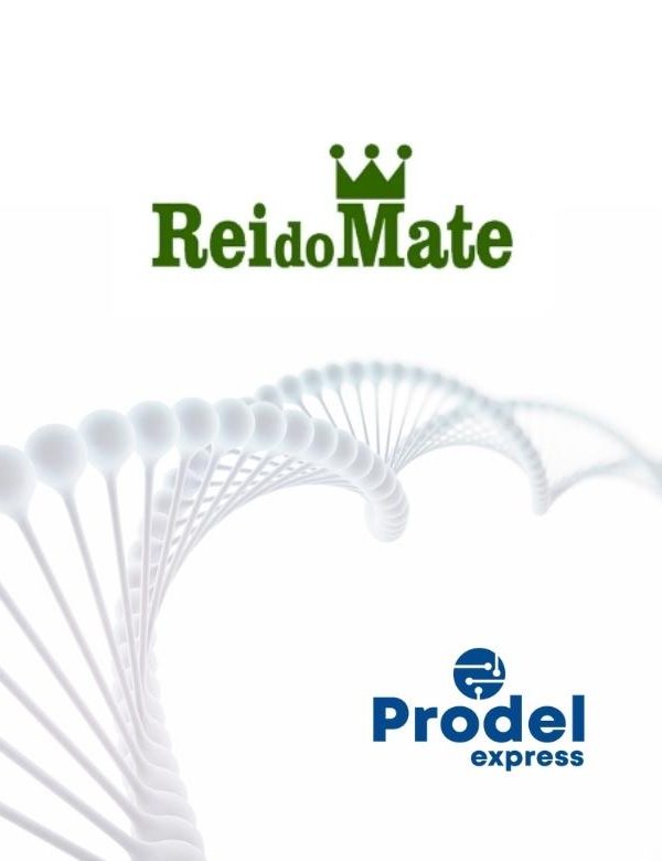 MRP II 3 Rei Do Mate Prodel Express